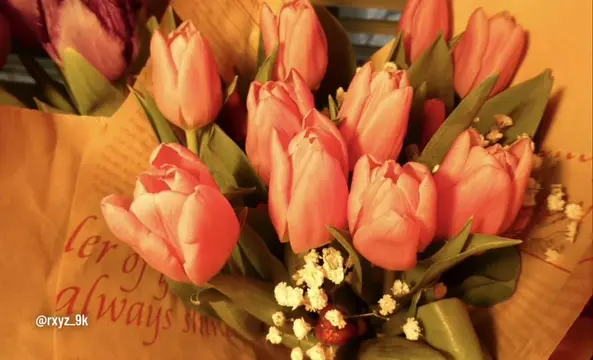 pretty in pink, we love tulips. #flowers #tulips #rxyz_9k 