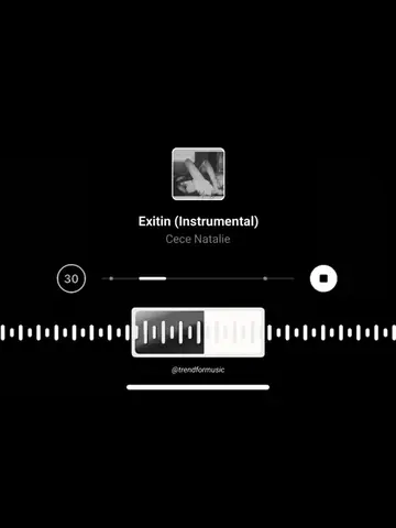 Exitin (Instrumental) | dm for song promo 📩 #fyp #exitin #Instrumental #song #v