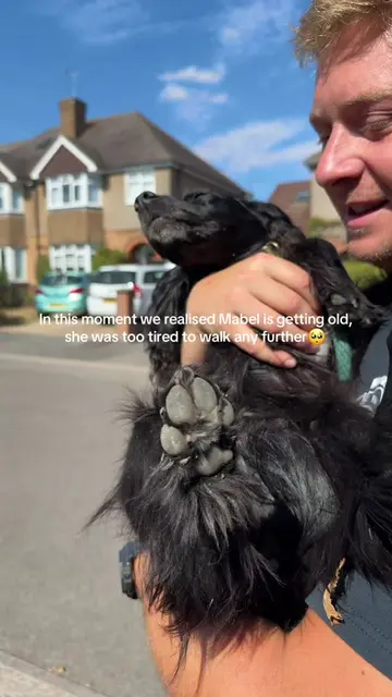 Our sweet sweet Mabel, she has had a very hard life bless her! This was after a 