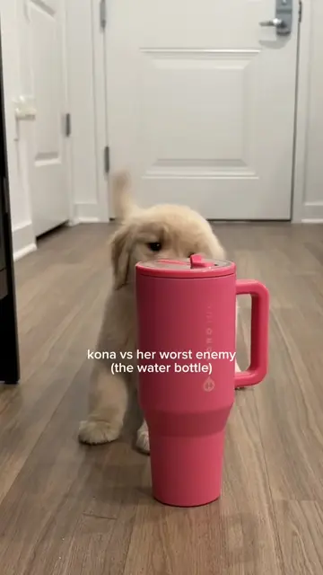 I do not like dis water bottle it’s too big and scary and I need it out immediat