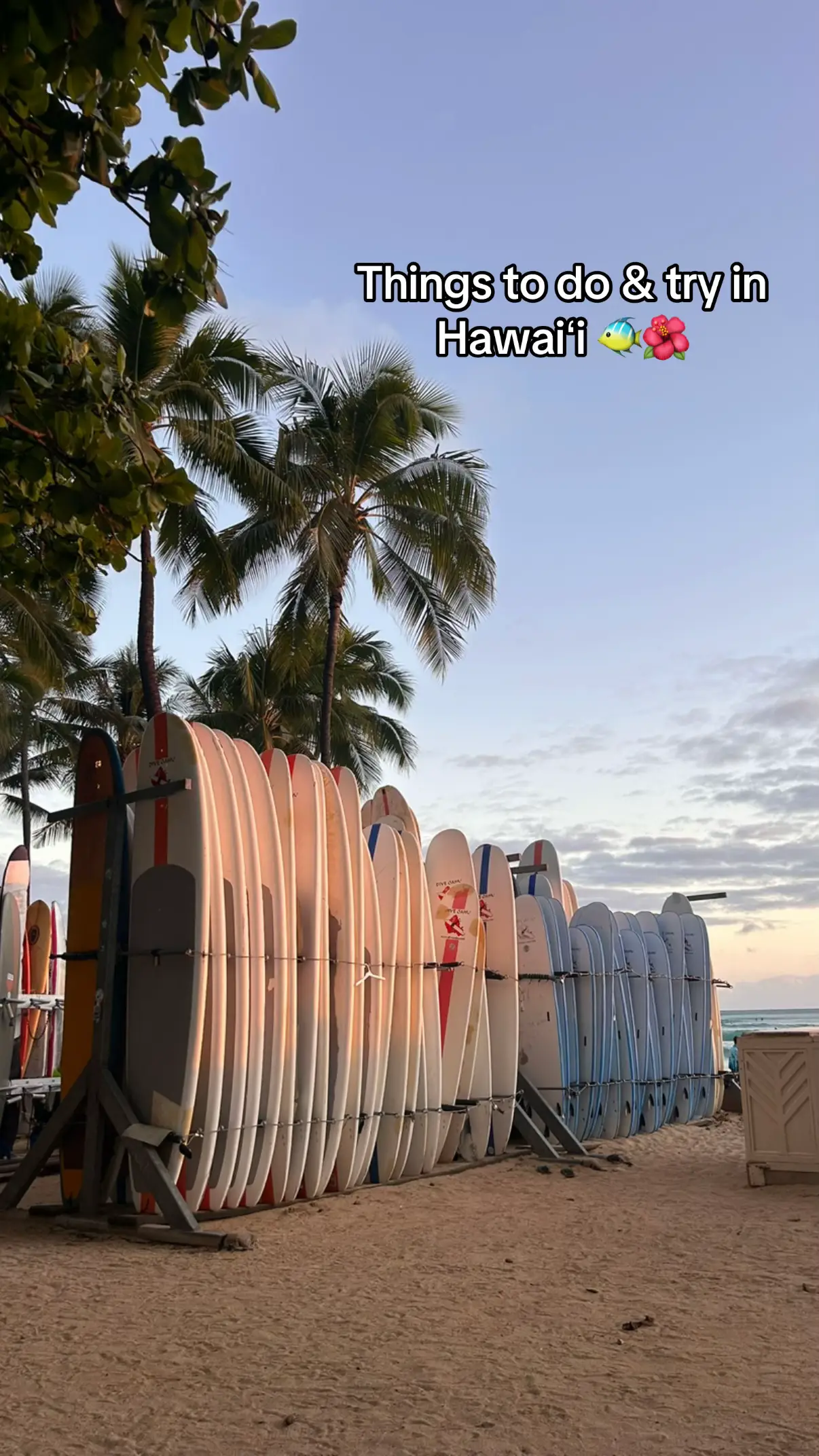 Things to do & try in Hawaiʻi 🌺🐠#hawaii #thingstodoinhawaii #travel #waikiki #