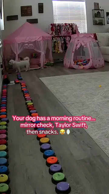Day THREE in a row! 😂💗 Aly went over to her princess mirror for her little mir