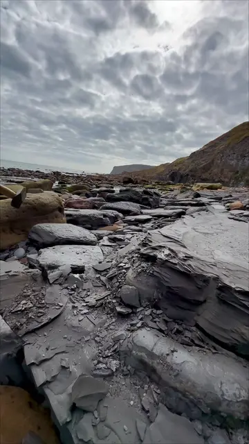 What an unforgettable day on the Jurassic Coast! 🤩 A huge shale collapse reveal