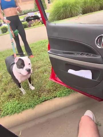 Blessing dogs with free pup cups and treats #happy 