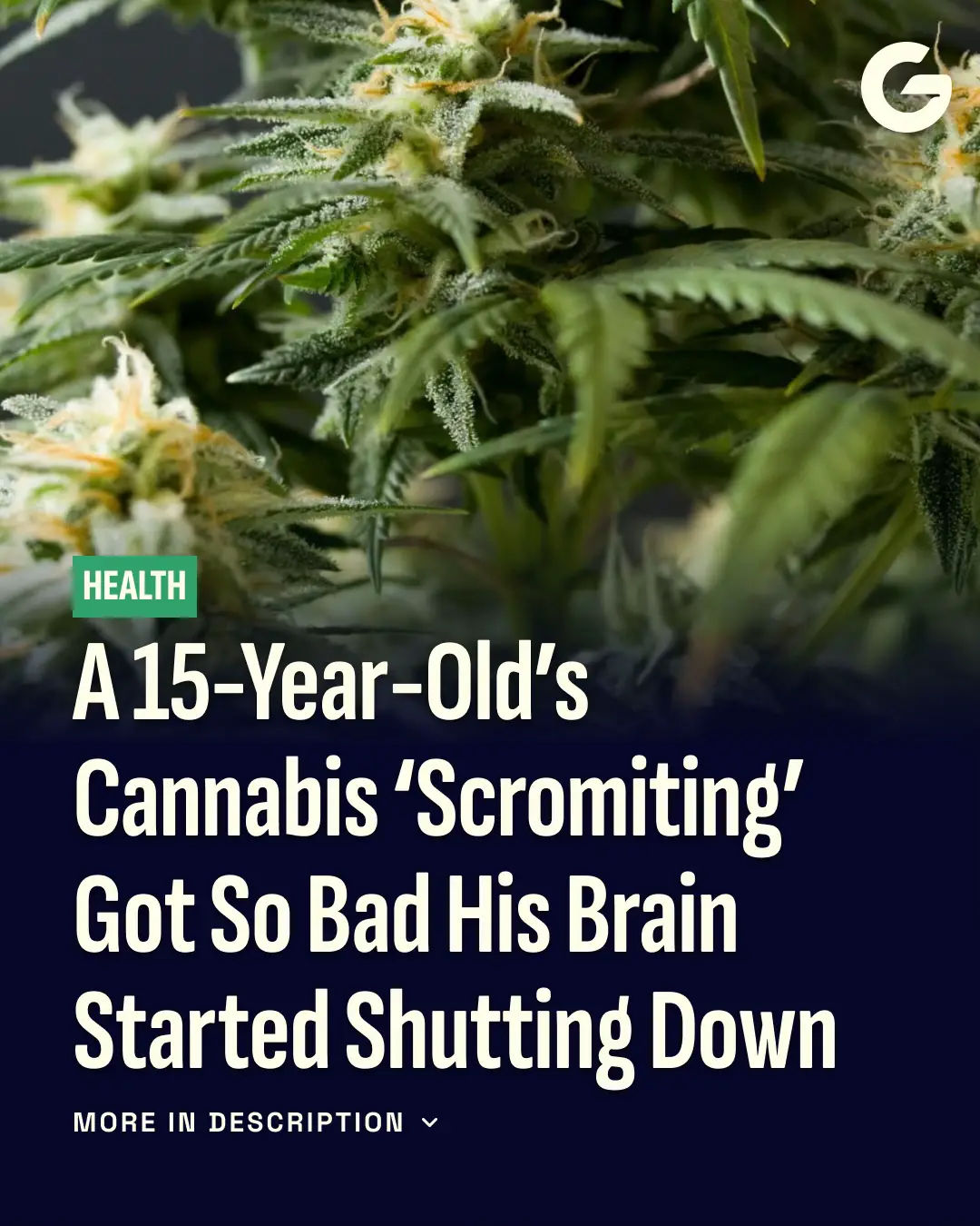 Cannabinoid hyperemesis syndrome (CHS)—a condition linked to frequent cannabis u