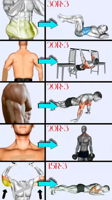 Full Body Workout No Jumping | Part 731 of the 5 Min Full Body Workout at Home S