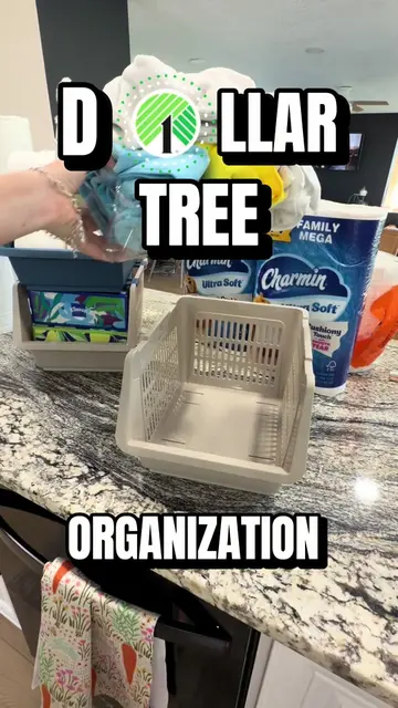 These @Dollar Tree containers are so handy - I use them for everything because t