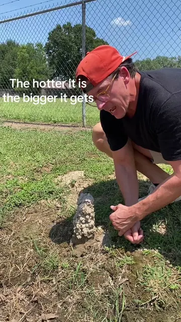 The hotter it gets in South Louisiana, the bigger these crawfish mounds aka craw