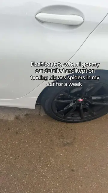 My mom kept telling me the detailed put them in my car #fyp #car #funny 