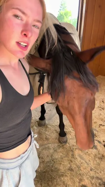 Can you tell I’m type B?🙂🙃😂 #LifeHack #farmlife #fypシ #colic #horsegirl 