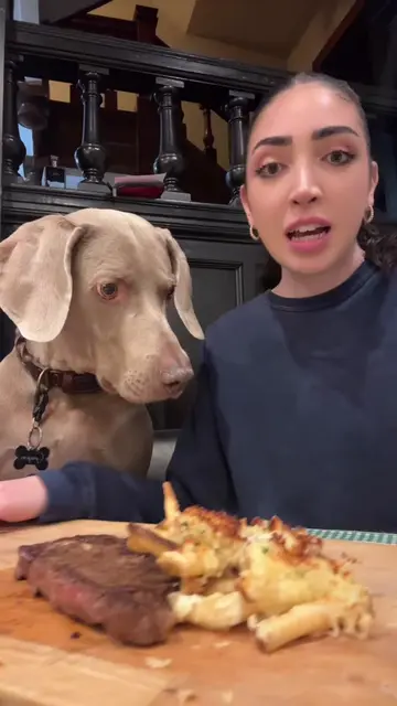 This was a hard one #fyp #dogsoftiktok #steak #foodies #dogtok 