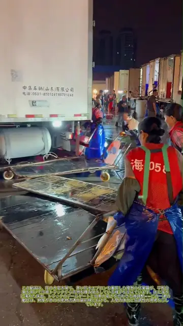 台車が漕ぐ：冷気の中で水産物は所有者を変える