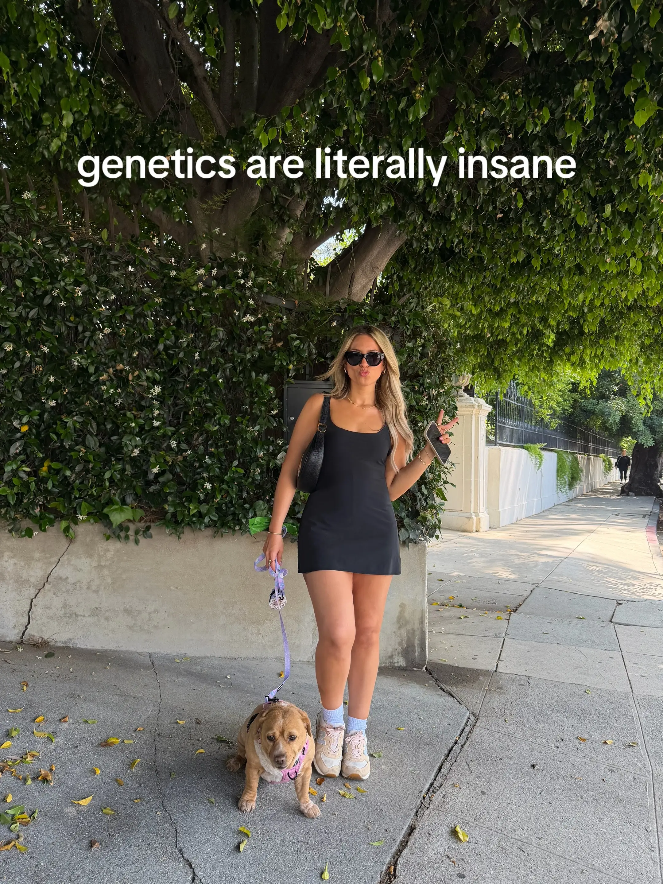 #cashew #trend #funny #dogsoftiktok #cashewtok 
