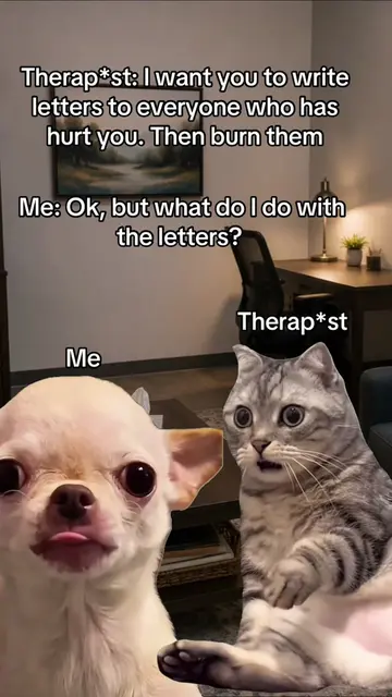 It’s a joke. Have a good laugh😂🤣. #funny #letters #makemelaugh #lol #comedyski