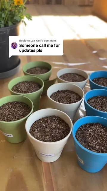 Replying to @Laz Yani 🌱 Pep Home Mini Garden Kit – Part 2 🌱 Well… that didn’t 