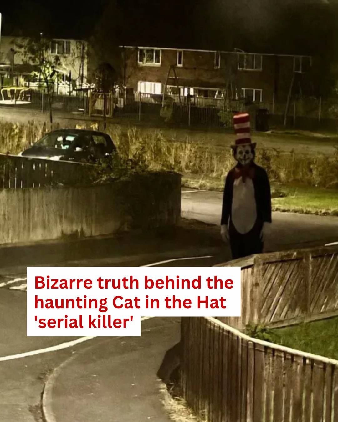 This is the bizarre truth behind the haunting Cat in the Hat ‘serial killer’ tha