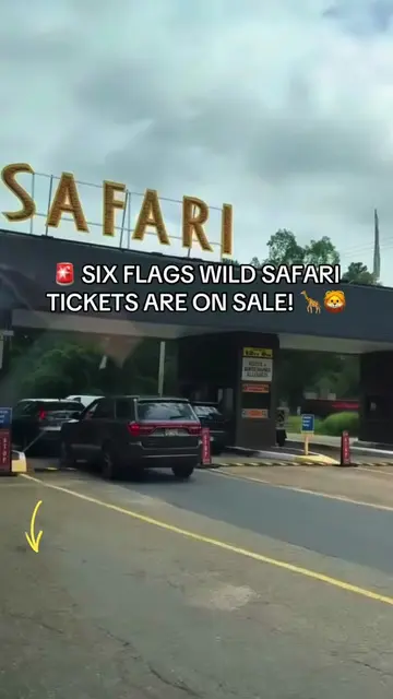 A WILD adventure for just $30?! 🦒🦓🦁 Six Flags Wild Safari in Jackson, NJ is s