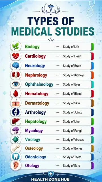 Types of Medical Studies 🩺📚 | 14 Medical Fields You Should Know#MedicalKnowled