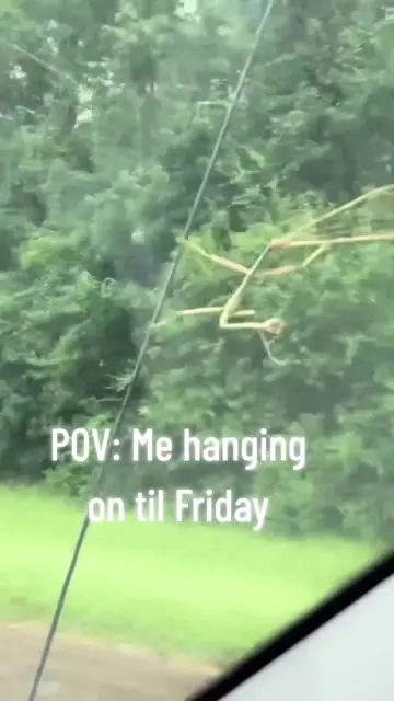😂 When you’re running on fumes but Friday is your motivation… #pov  #almostfrid
