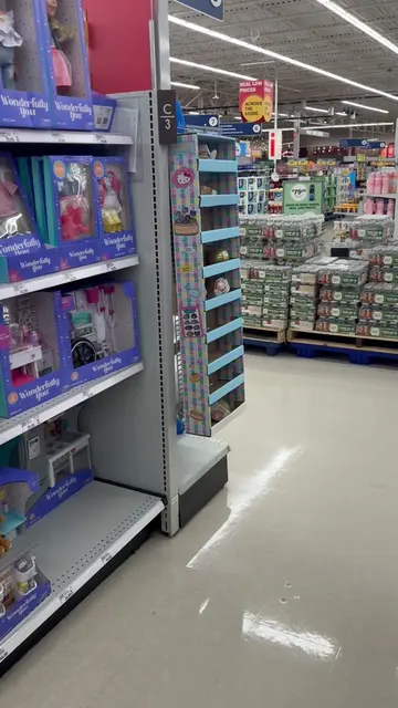 I ran back to Meijer to find just a few of the Hello Kitty and Friends Dumplings
