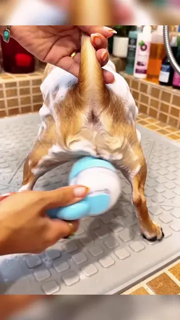 #tiktokshop