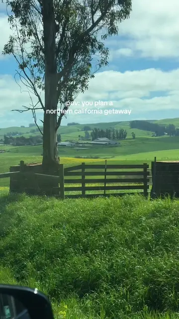 a dreamy summer getaway to @Dawn Ranch! The last time I visited was for my birth
