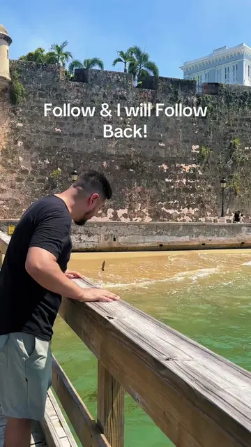 I'm so excited to start my journey on this new app! Follow 4 Follow.  #follow #n