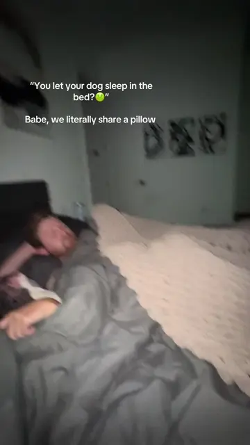 And yes sometimes I wake up folded like a lawn chair #dogtok #funnydogvideos #fu