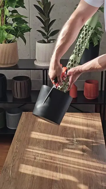 Repotting a plant with a moss pole usually means disturbing the roots or taking 