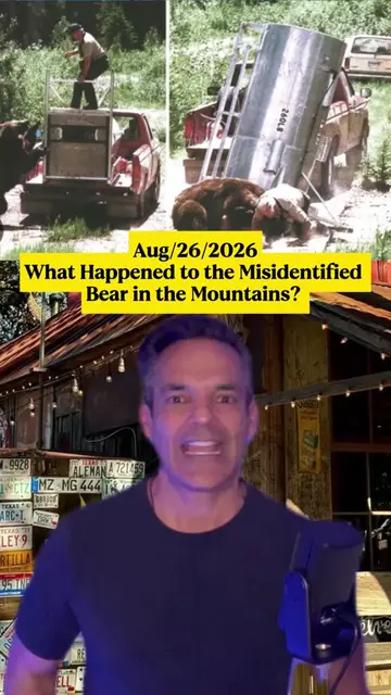 Discover the fascinating journey of the bear mistaken for a lion in the mountain