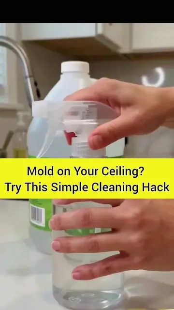 Tired of mold on your ceiling? 😩🏠 Try this simple cleaning trick and watch tho