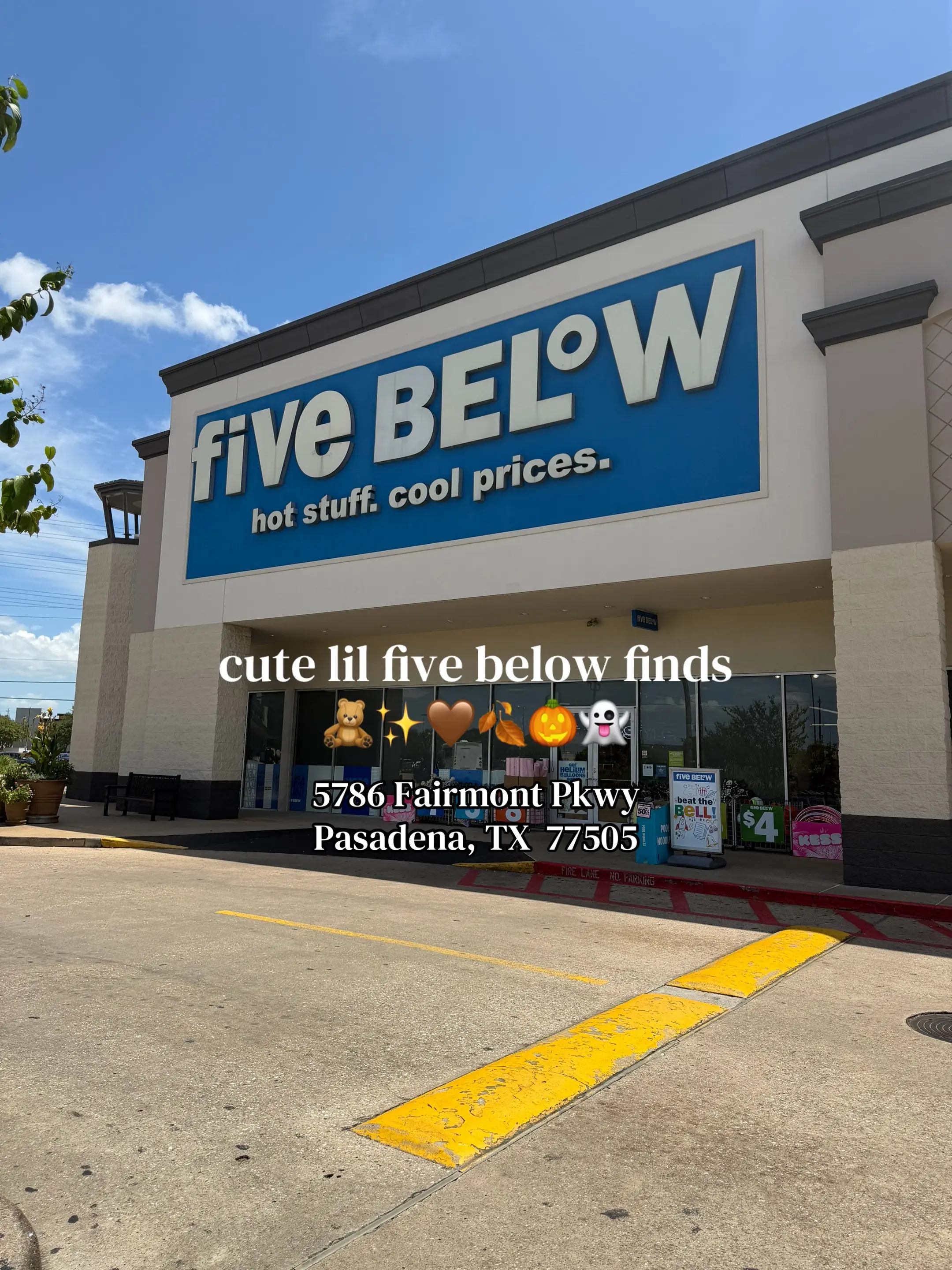 Five Below finds 🍂🤭 This location was a drive, but we were already in the area