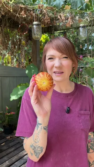 Tasting the Tiger Melon I grew in my Texas backyard garden #gardeningtiktokconte