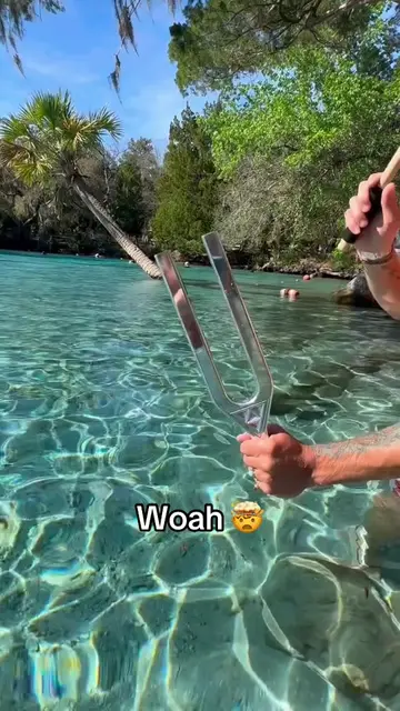 The power of sound 👀 #cool #water #satisfying #asmr (via rayofsound_/IG)