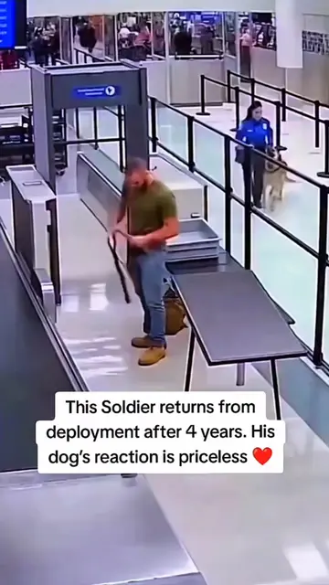 The dog escorted the soldier home. 😘 ❤️  #pet #cat #dog #cute #animals #foryou 