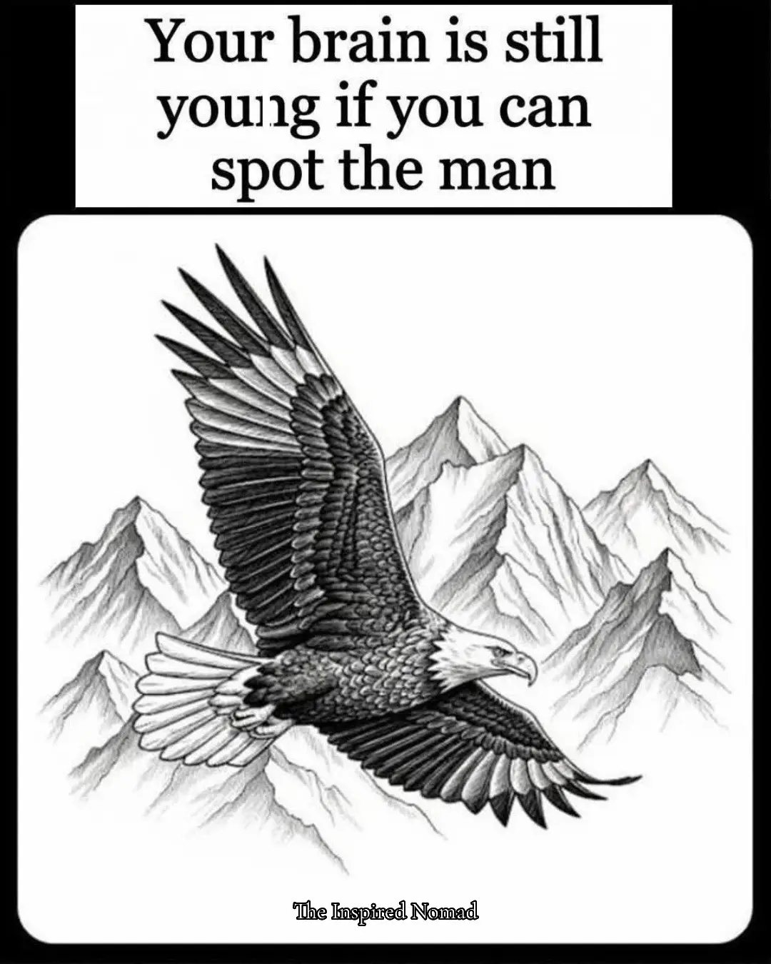Welcome to a quick visual challenge designed to test your observation skills. At