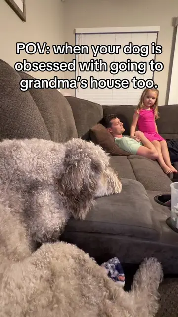 She sure does love her Grandma💕🐾 #funny #dog #grandma #fyp #viral 