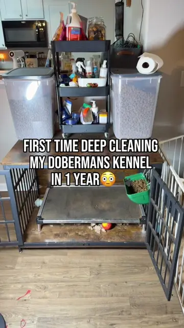 Glad I got around to it 🐾 #realistic #satisfyingcleans #realisticcleaning #clea