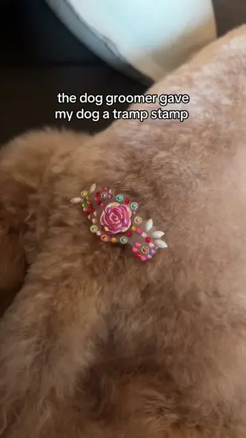 the most whimsy girl✨🤌🏼 #dogsoftiktok #dogtok 