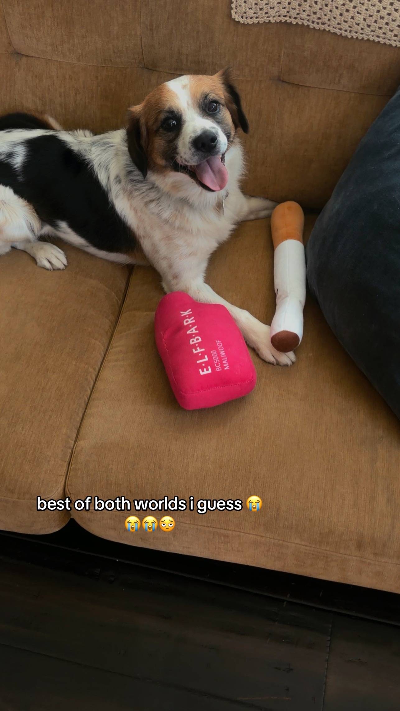 bro got a cig and vape  #dogsoftiktok #PetsOfTikTok 
