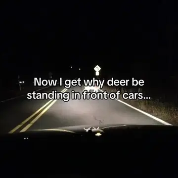 #fyp #viral #deer 