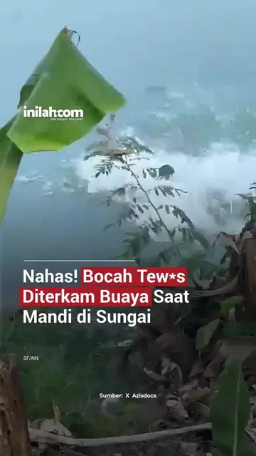 Insiden serangan buaya terjadi di Sungai Budong-budong, Mamuju Tengah, Sulawesi 