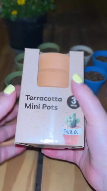 Pep Home Garden Kit 🌱 Part 3: The Rescue of the Pots So… you all saw what happe