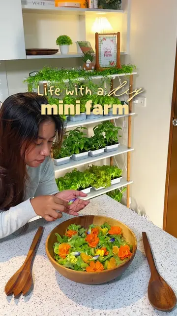 DIY mini farm that can thrive beyond spring and summer! 🧚✨ For this mini farm, 