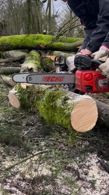 Stihl MS 193T vs Echo CS 320TES - Chainsaw Battle  Laquelle de ces deux élagueus