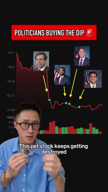 Four members of Congress bought the same dip. All within one month. On a pet sto