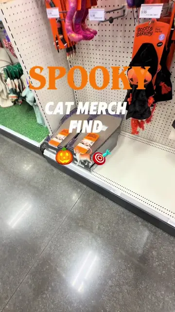 For $10!? Add to cart!! #halloween #targetfind #catmom