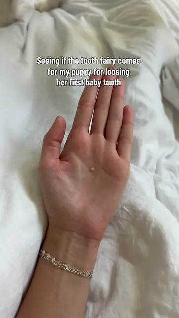 Creating one core memory at a time 🧚🏼‍♀️🦷 #toothfairy #puppy #husky #dogsofti