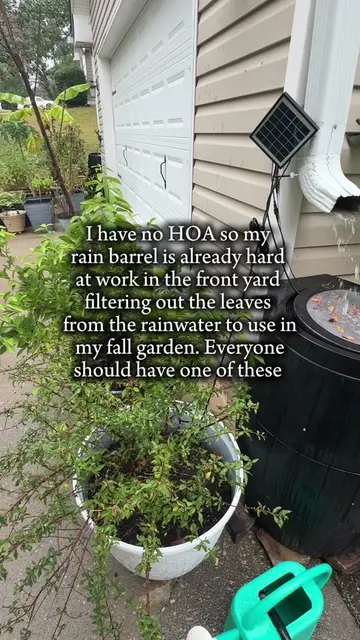 🌧️ No HOA means my rain barrel gets to live right in the front yard. 😂 💧 I’m 