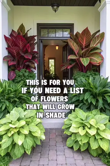 🌸 10 Beautiful Flowers That Will Grow in Shade! 🌿 Got a shady garden? 🌿 Don’t